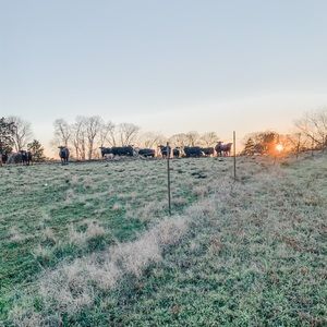 Meet your Posher, Jaime